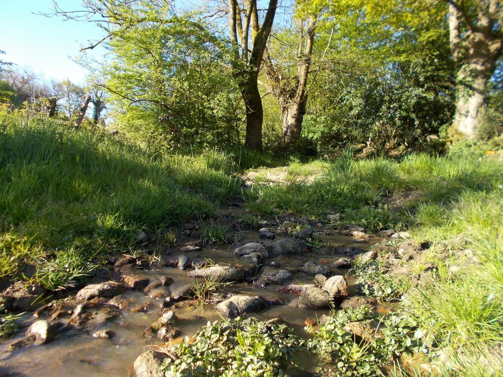 Terre Et Eau Gite Sevremont La Flocellière Kültér fotó